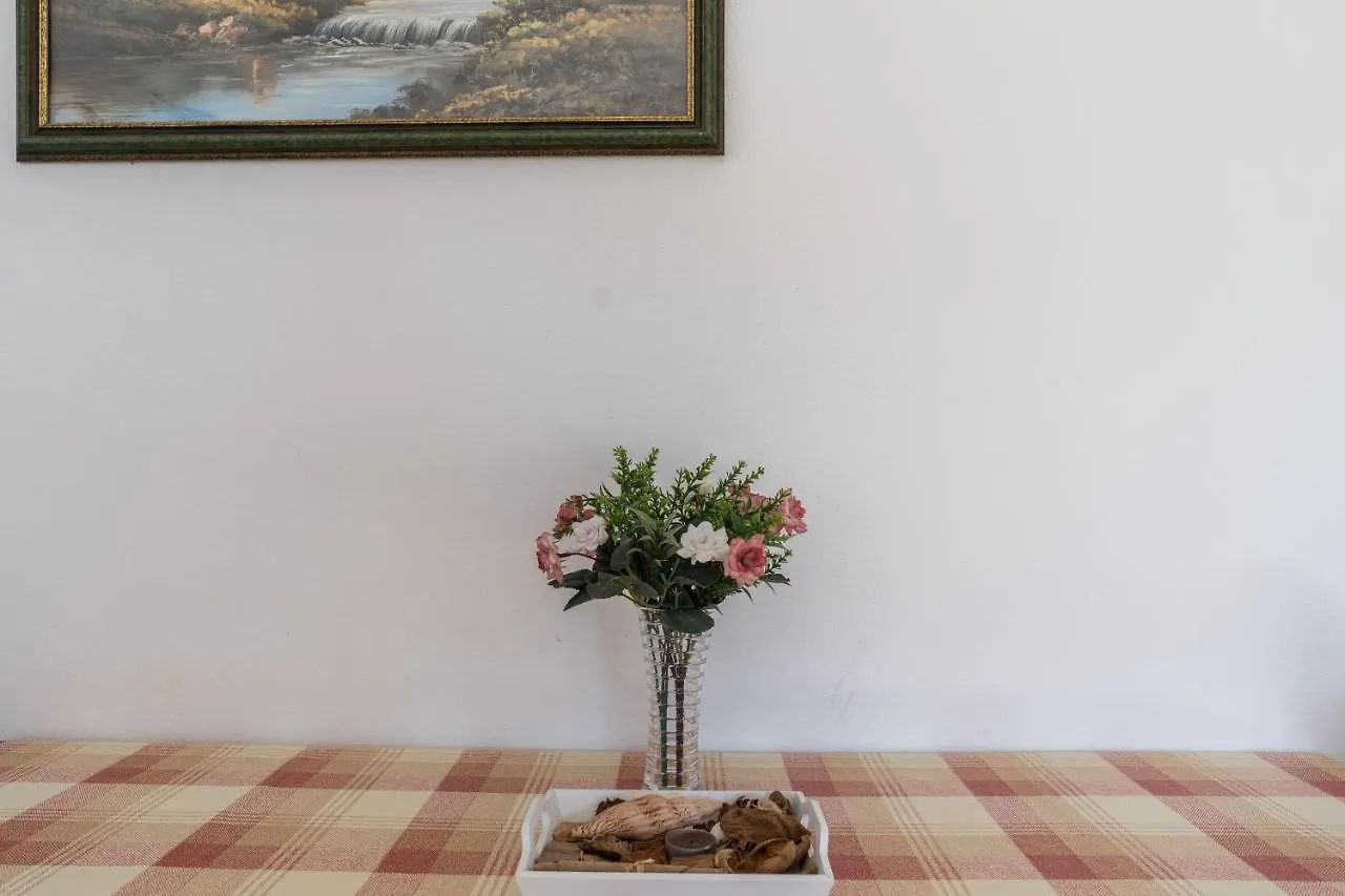 Apartmani Zarko Vir Daire